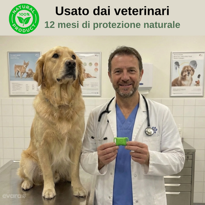 EVARA™ Ciondolo per Cani - Protezione 12 Mesi