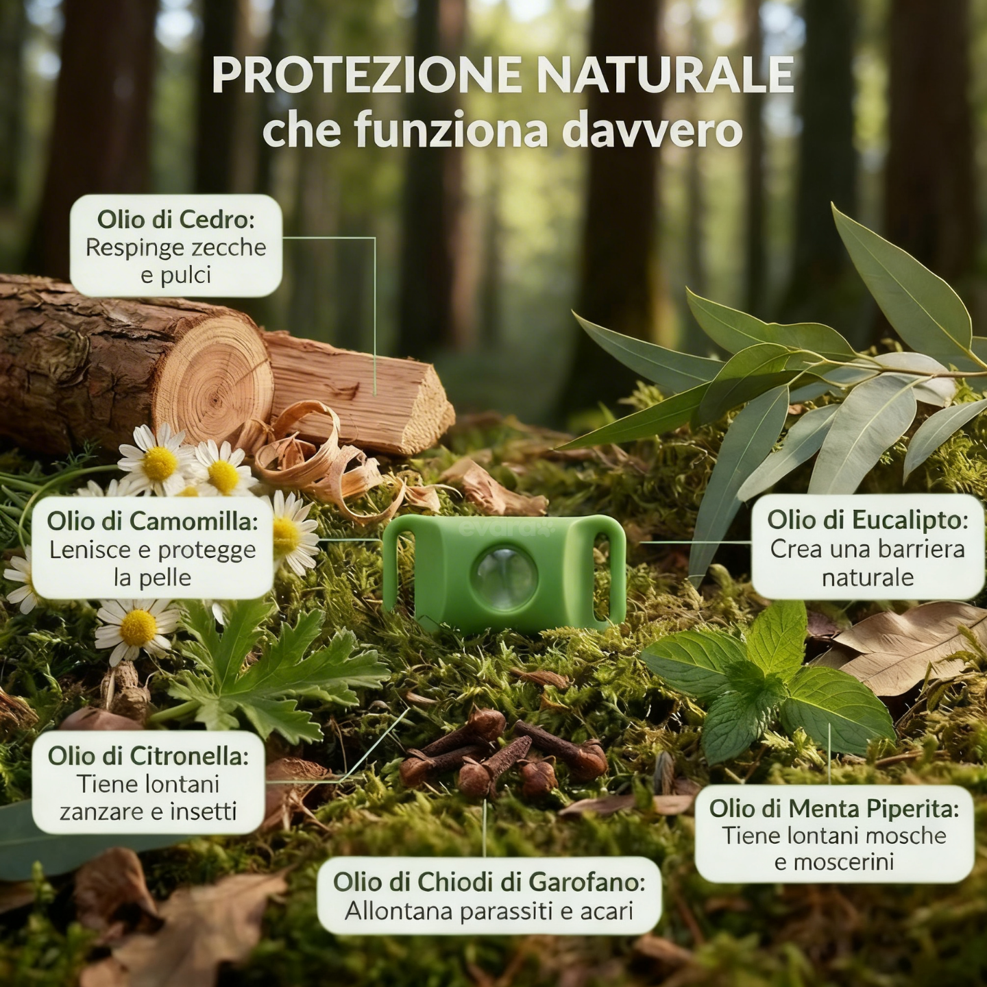 EVARA™ Ciondolo per Cani - Protezione 12 Mesi