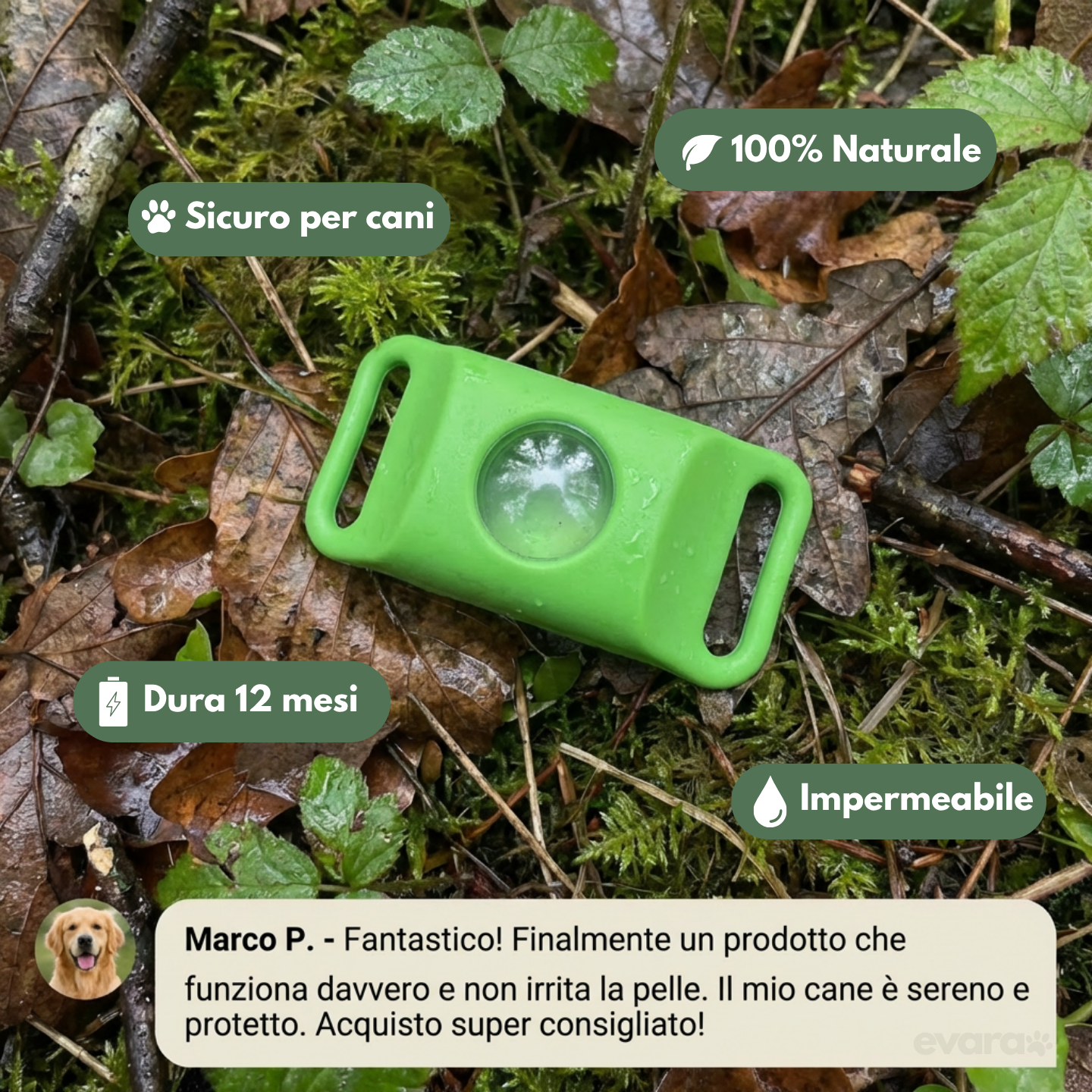 EVARA™ Ciondolo per Cani - Protezione 12 Mesi