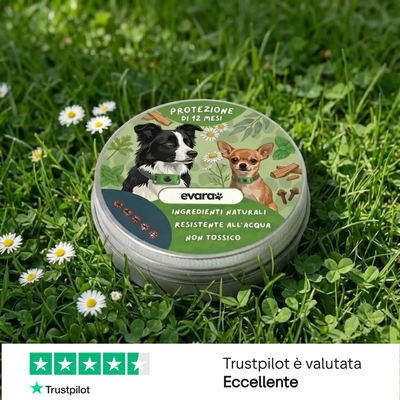 EVARA™ Ciondolo per Cani - Protezione 12 Mesi