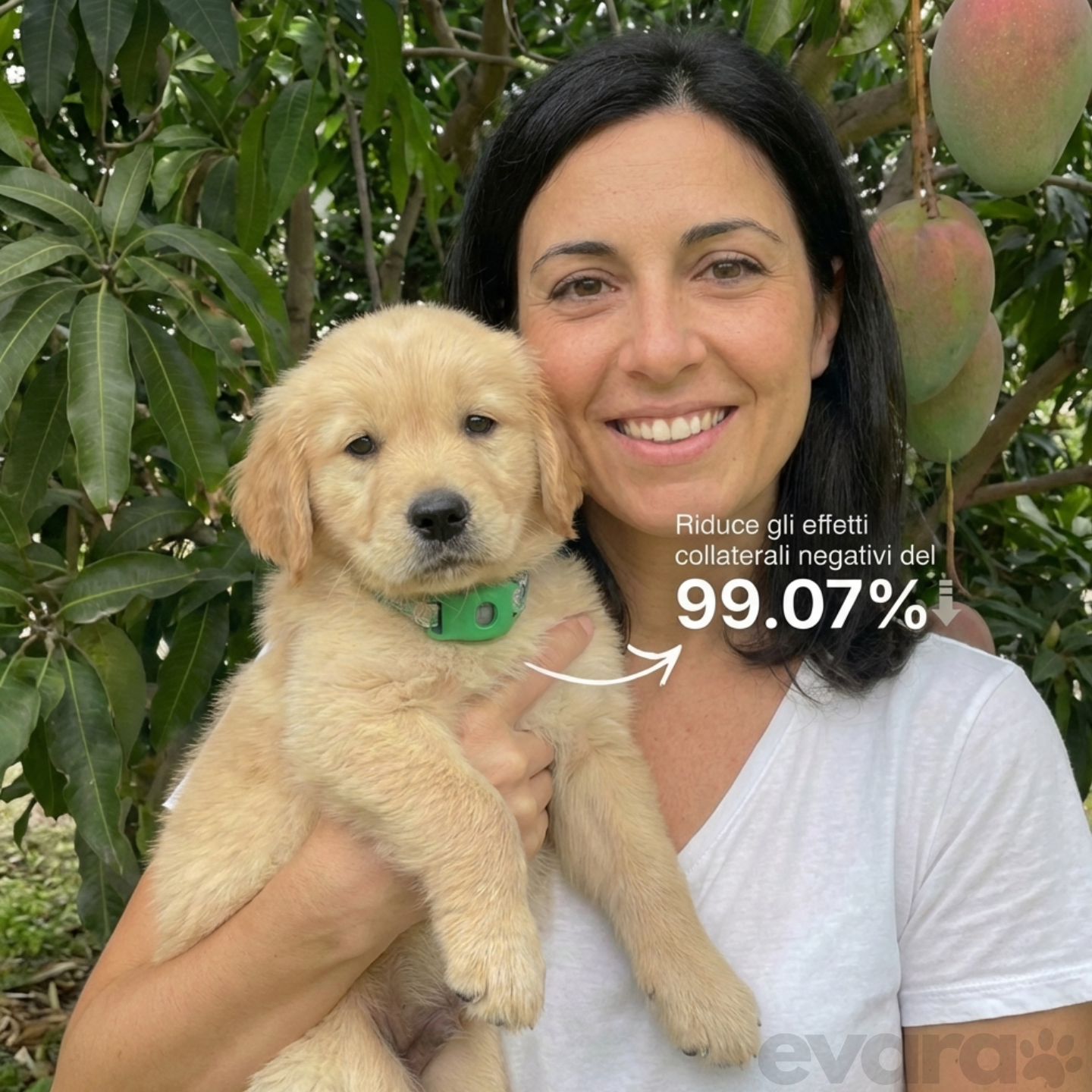 EVARA™ Ciondolo per Cani - Protezione 12 Mesi