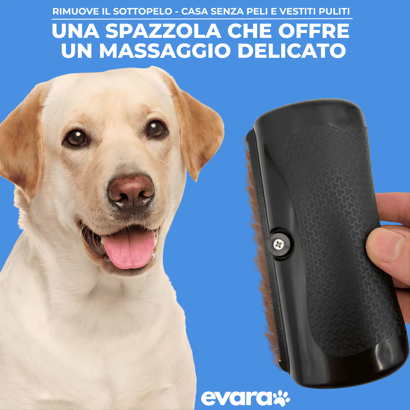 EVARA™ Spazzola Professionale per Animali (Set 2 Spazzole)
