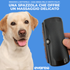 EVARA™ Spazzola Professionale per Animali (Set 2 Spazzole)