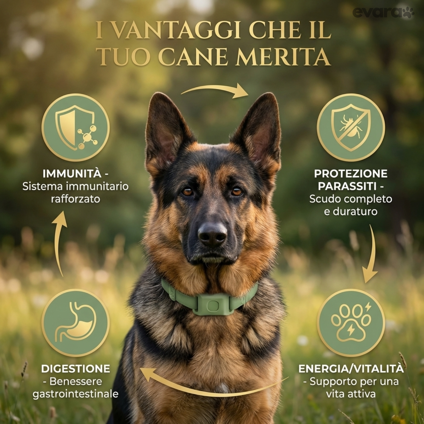LA TRANQUILLITÀ CHE MERITI