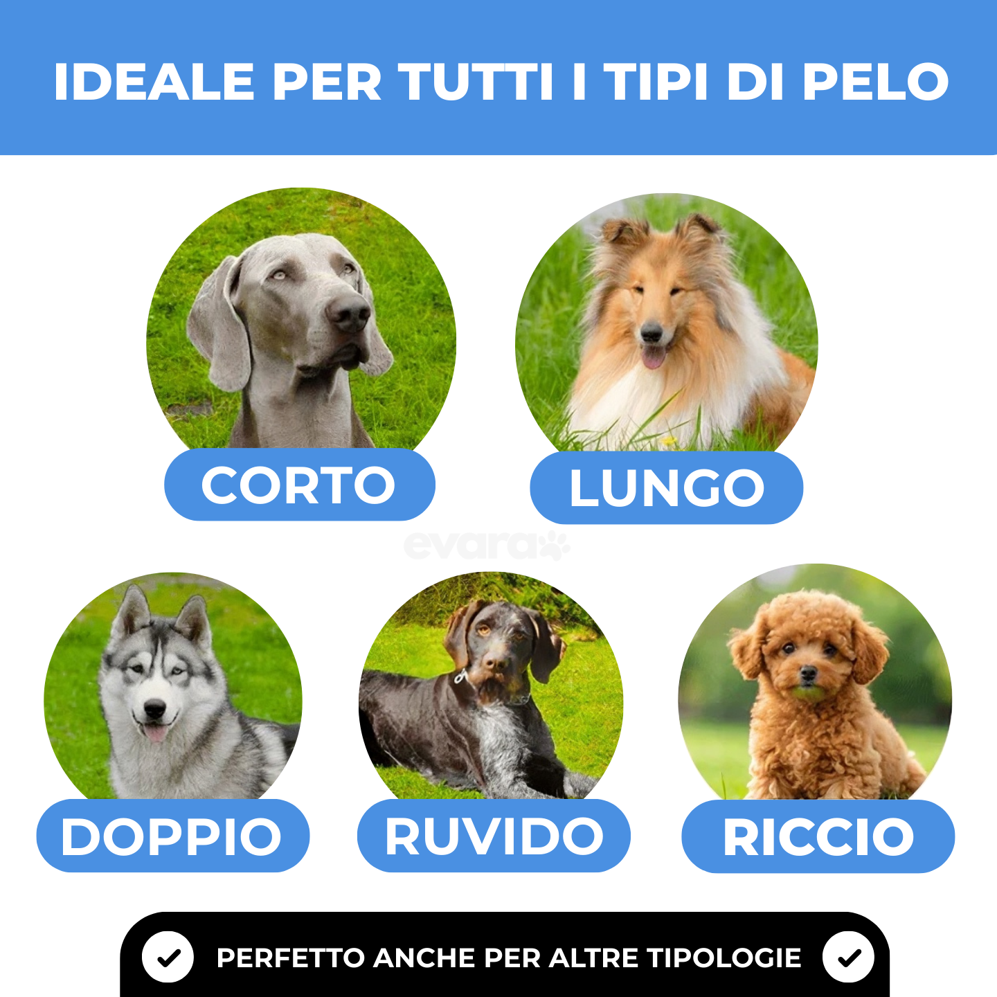 EVARA™ Spazzola Professionale per Animali (Set 2 Spazzole)