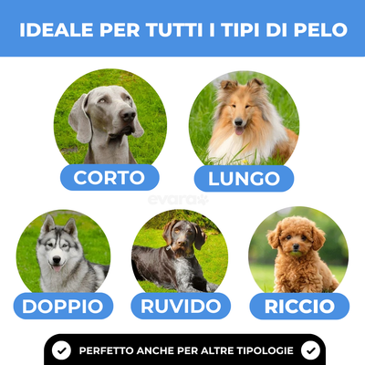 EVARA™ Spazzola Professionale per Animali (Set 2 Spazzole)