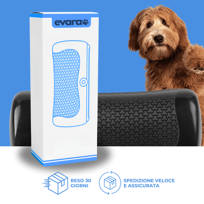 EVARA™ Spazzola Professionale per Animali (Set 2 Spazzole)