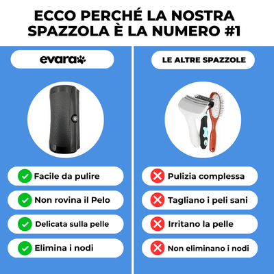 EVARA™ Spazzola Professionale per Animali (Set 2 Spazzole)