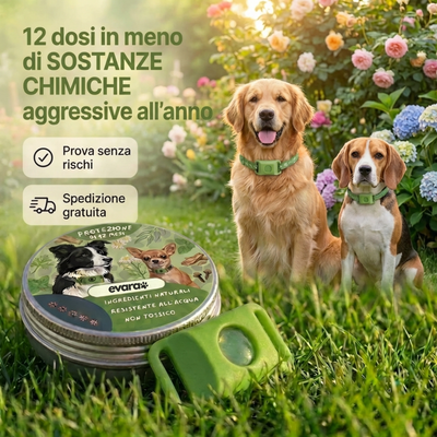 EVARA™ Ciondolo per Cani - Protezione 12 Mesi