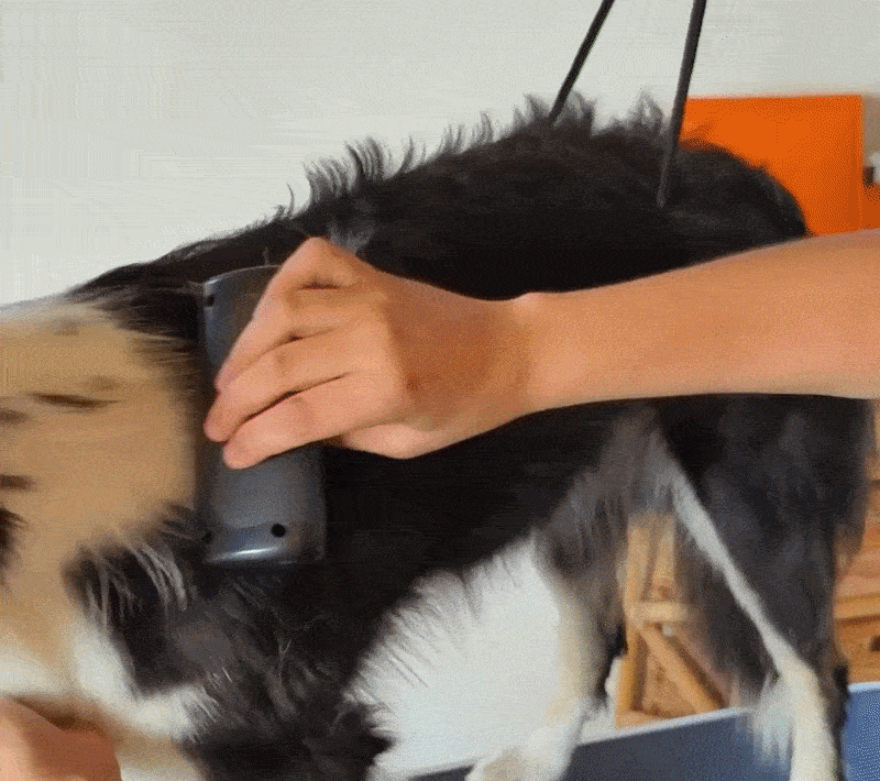 QUALITÀ CHE PUOI VEDERE E SENTIRE