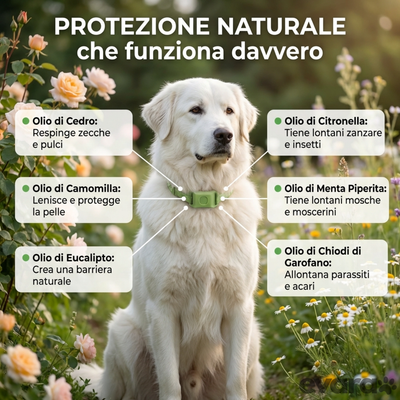EVARA™ Ciondolo per Cani - Protezione 12 Mesi