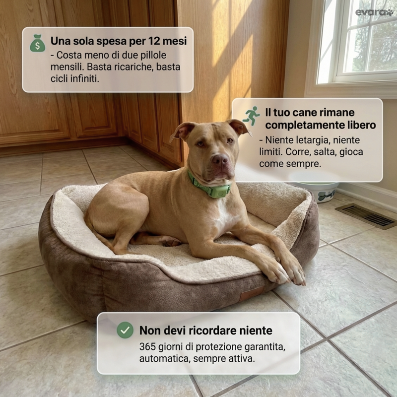EVARA™ Ciondolo Antiparassitario Cani