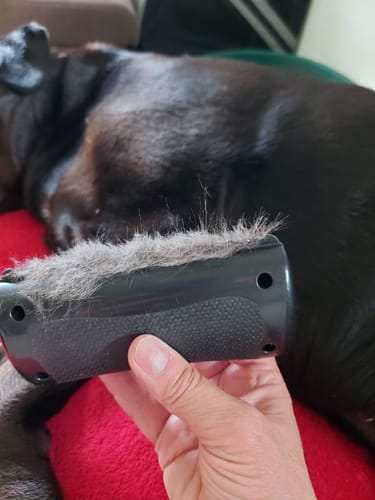 Review by Carmelo V.