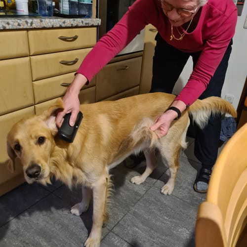 Review by Tiziana R.